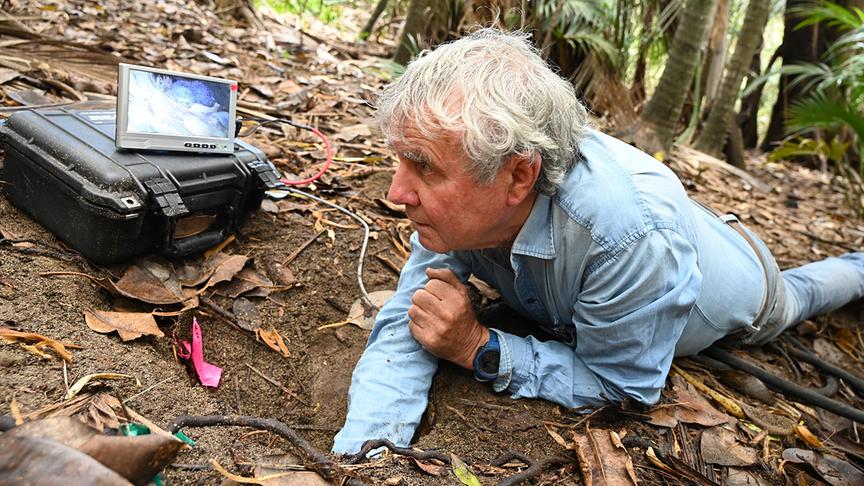 Mann liegend am Boden streckt einen Arm in ein Erdloch