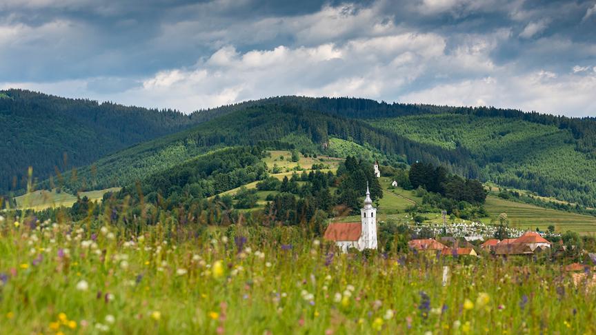 © Foto: ORF/Crossing the Line/Benedek Alpar/Shutterstock Im Bild: Wildblumenwiese vor einem Transsilvanischen Dorf.