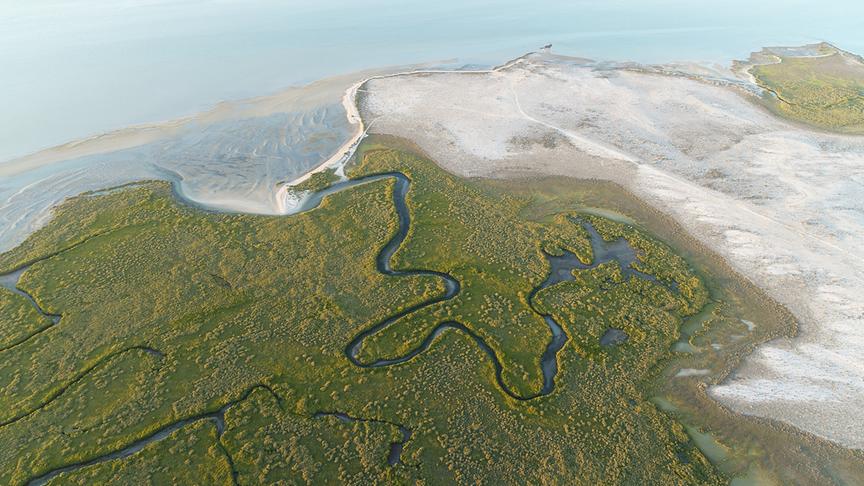 Luftaufnahme von einer mehrfarbigen Landschaft mit grünem Wald, durch den sich Flüsse schlängeln, hellem Sandstrand und blauem Gewässer.