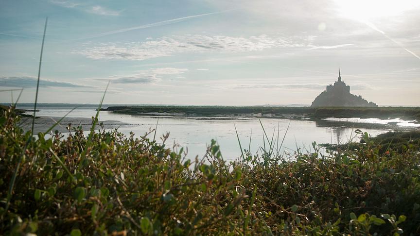 Im Bild: Das Kloster ist durch seine einzigartige Lage zwischen Meer und Flüssen von einer Vielfalt an Lebensräumen für Tiere und Pflanzen umgeben.