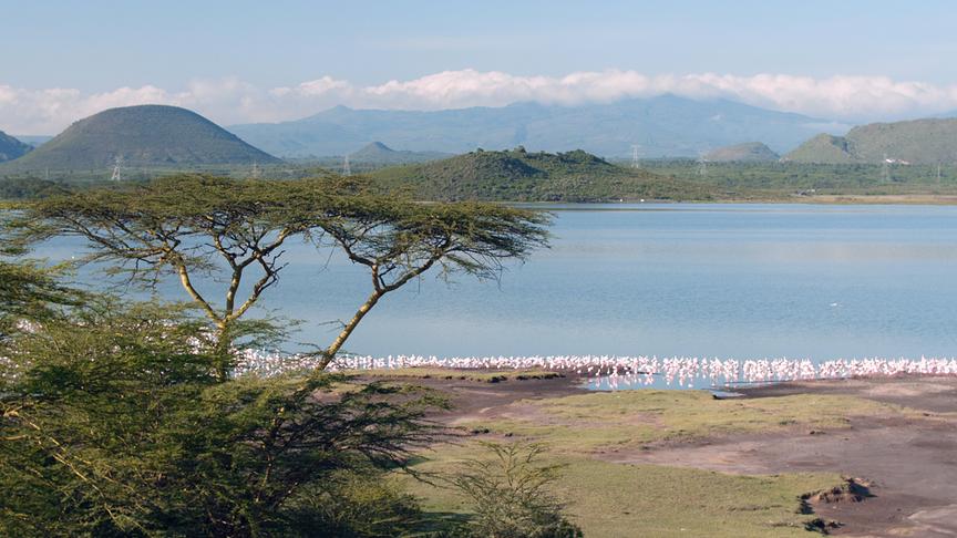 Im Bild: Flamingos im Elementaitasee (Kenia).