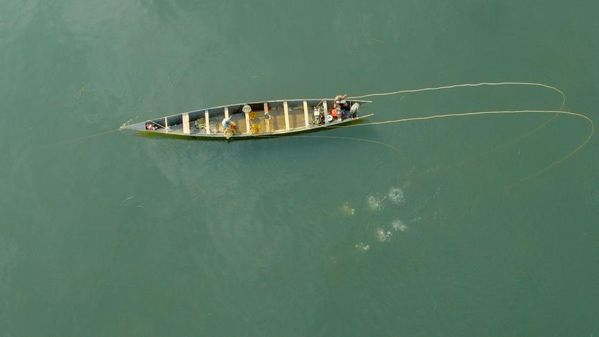 Im Bild: Muschelfischen im Mündungsgebiet (Ghana).