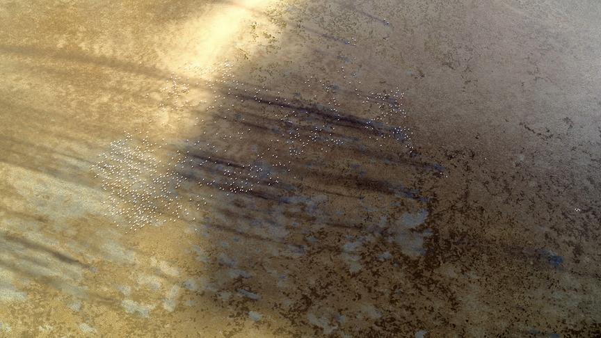 Im Bild: Bazaruto-Archipel (Mosambik).