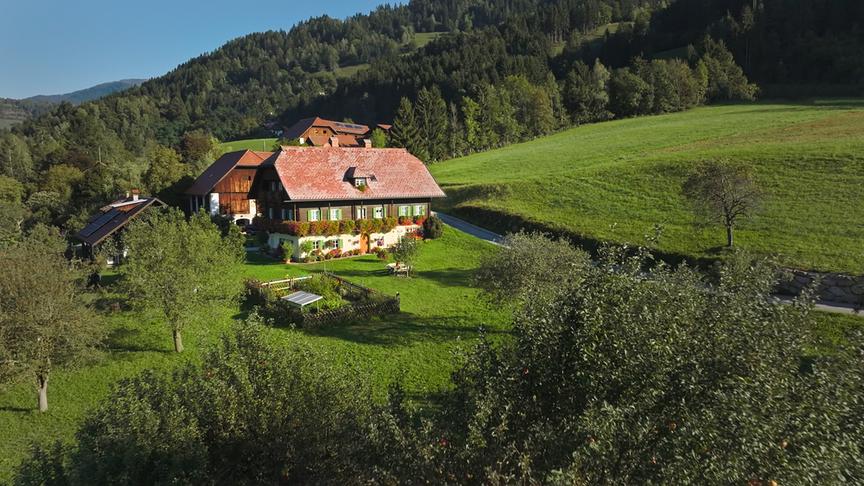 Im Bild: Haussperlinge sind vielerorts selten geworden, verdrängt durch eine immer intensivere Landwirtschaft.