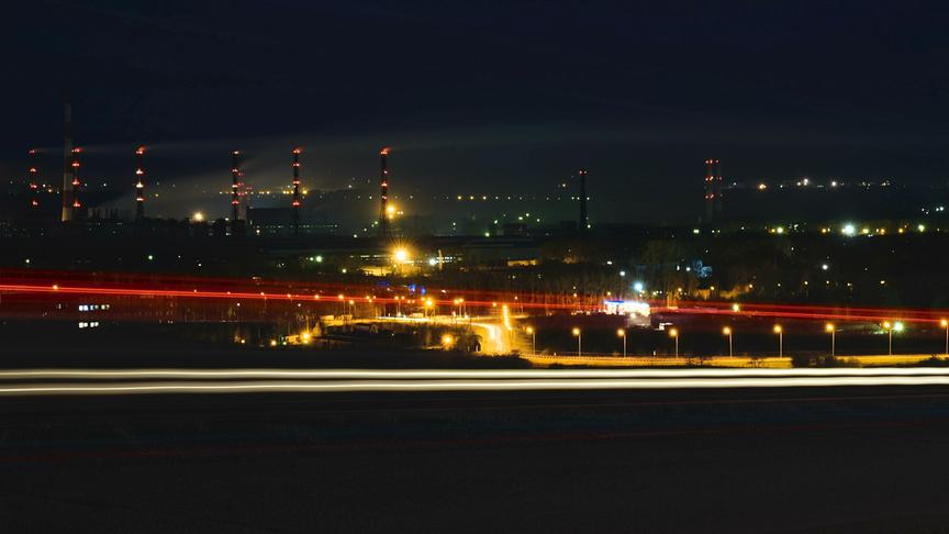 Im Bild: Manche Tiere tun sich schwer in unserer menschgemachten Welt zu überleben.