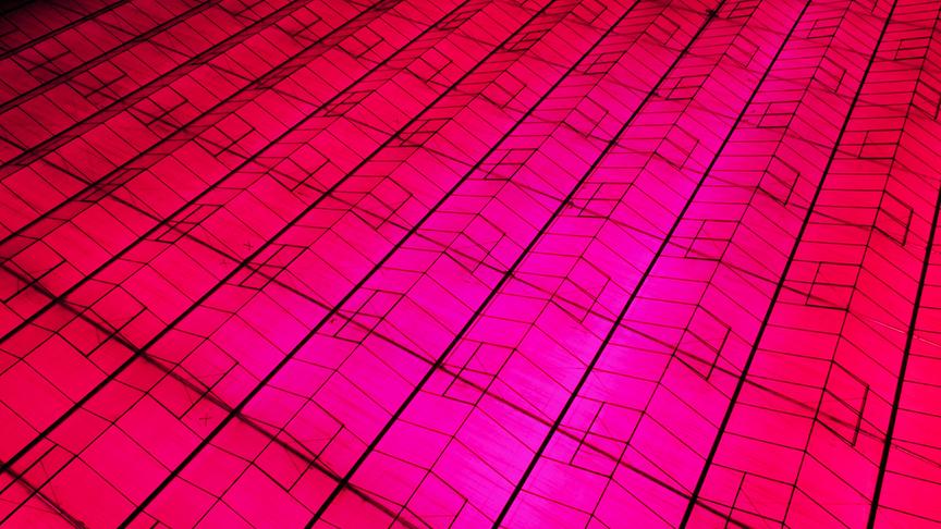 Im Bild: Auf dem dichtbesiedelten Kontinent leben Wildtiere auch dort, wo man sie kaum vermuten würde.