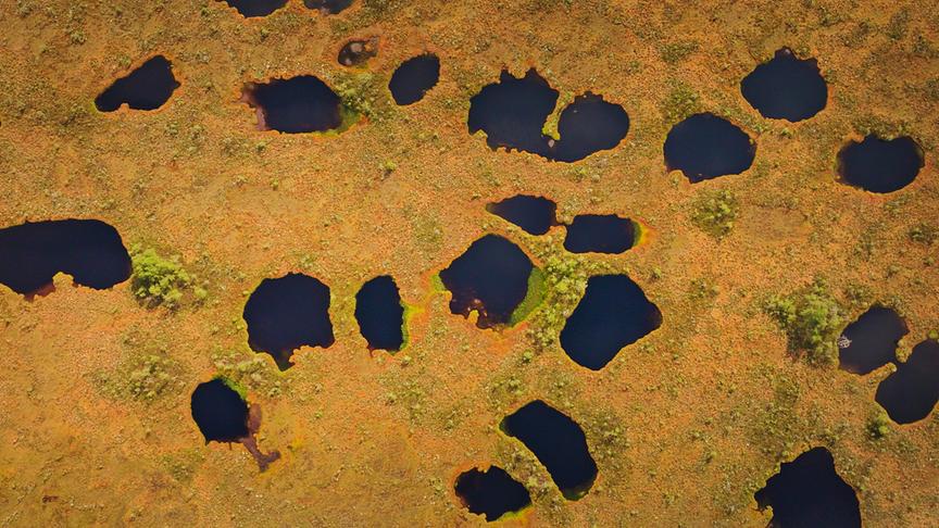 Im Bild: Mit fast 400 Quadratkilometern ist Soomaa Europas größtes intaktes Hochmoorsystem.