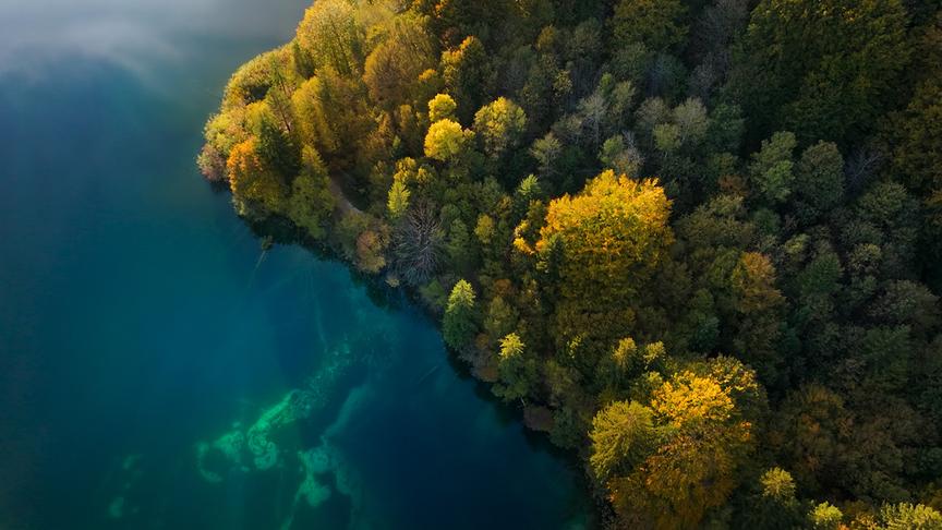Im Bild: Die vielen Flüsse, Sümpfe und Seen … sind die Lebensadern unseres Kontinents.