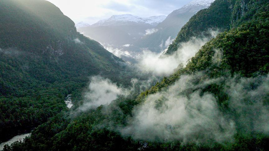 Im Bild: Geysire und dampfende Erde auf Neuseelands Nordinsel.