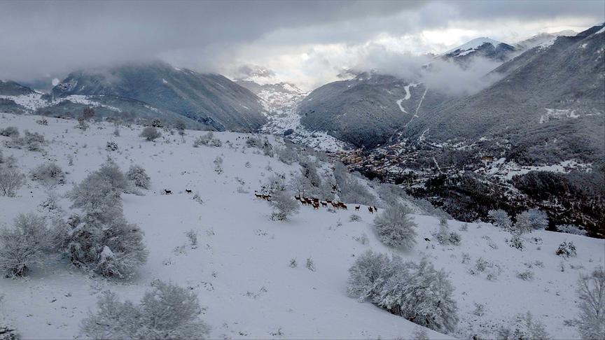 Im Bild: Hirschrudel im Winter oberhalb vom Dorf Villalago.
