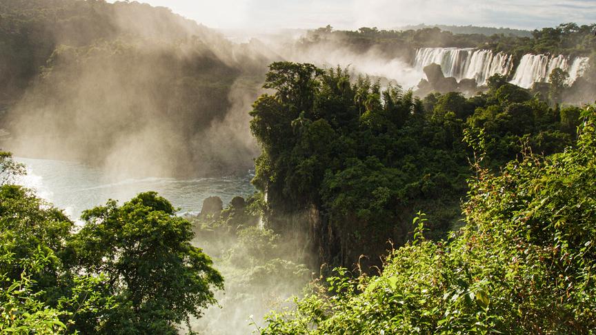 Im Bild: Rund um die Wasserfälle von Iguazú nährt die Feuchtigkeit einen einzigartigen Wald.