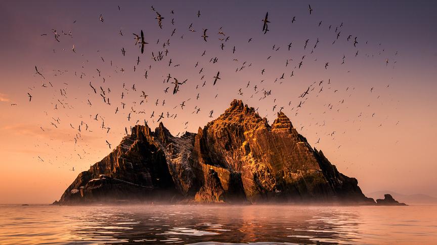 © Foto: ORF/Crossing the Line Productions/George Karbus Im Bild: Die Insel „Little Skellig“, Co. Kerry, Irland.