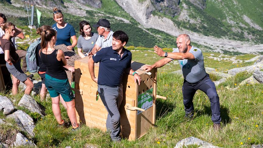 Hermann Maier, Willi Seifert und Helfer*innen bei der Steinbockauswilderung.