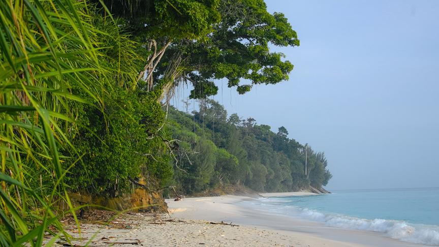 Im Bild: Strand auf den Nikobaren (Indien).