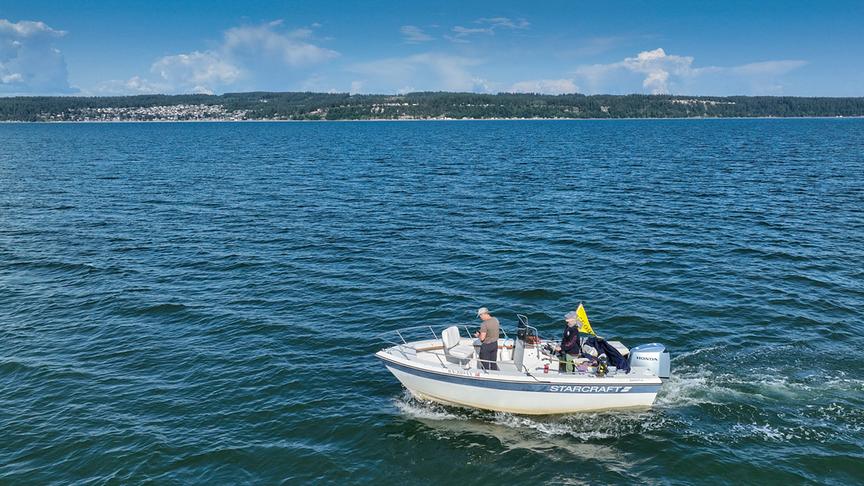 Im Bild: Tierfilmer und Meeresbiologe Florian Graner ist in der Salishen See auf der Suche nach Schwertwalen.