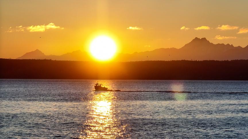 Im Bild: Sonnenuntergang in der Salishen See im Pazifischen Nordwesten – es ist ein idealer Lebensraum für Schwertwale.