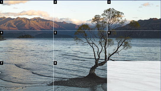 Über Jahrmillionen isoliert, entwickelte sich auf Zealandia eine einzigartige Tier- und Pflanzenwelt.