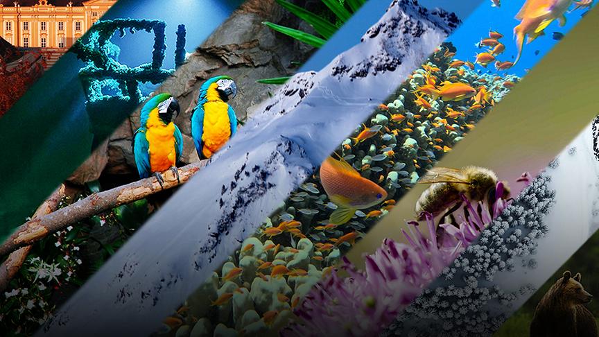 Ausschnitte aus "Universum"-Sendungen