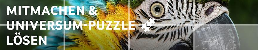 Slider-Puzzle zur aktuellen Sendung (ORF)