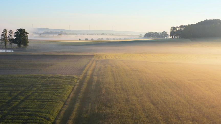 © Foto: ORF/Passion Pictures/HHMI Tangled Bank Studios Im Bild: „Wilding“ erzählt vom Knepp-Projekt in Südengland, bei dem landwirtschaftlich genutzte Flächen der Natur zurückgegeben wurden – ein Experiment, das zur Rückkehr zahlreicher Tier- und Pflanzenarten führte und heute als Vorbild für Renaturierung in Europa gilt.