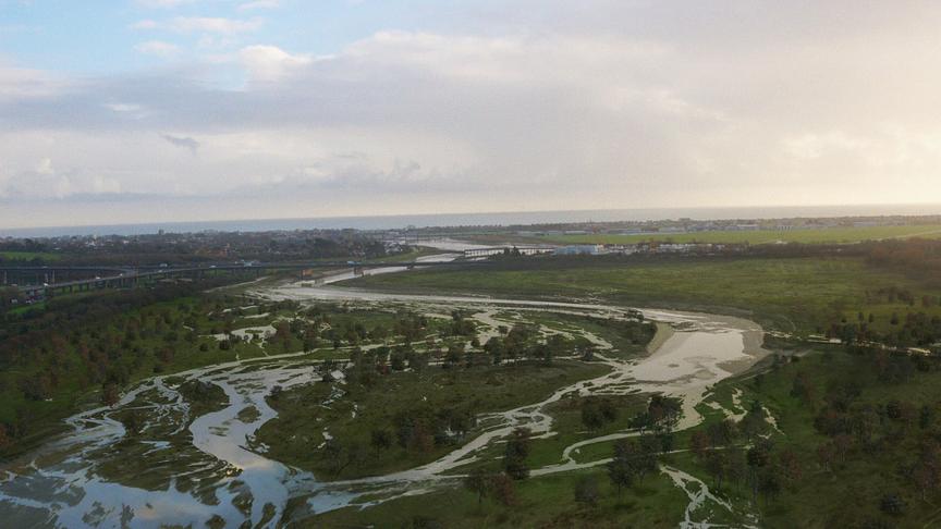 Im Bild: „Wilding“ erzählt vom Knepp-Projekt in Südengland, bei dem landwirtschaftlich genutzte Flächen der Natur zurückgegeben wurden – ein Experiment, das zur Rückkehr zahlreicher Tier- und Pflanzenarten führte und heute als Vorbild für Renaturierung in Europa gilt.
