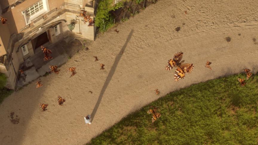 Im Bild: Das Wiederverwilderungsprojekt wird im Jahr 2009 durch die Ankunft von zehn Millionen Distelfaltern gerettet.