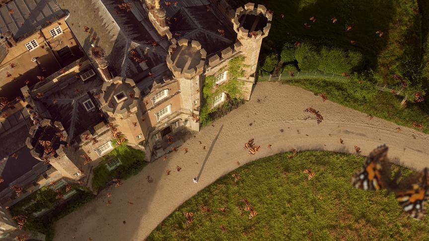 © Foto: ORF/Passion Pictures/HHMI Tangled Bank Studios Im Bild: Das Wiederverwilderungsprojekt wird im Jahr 2009 durch die Ankunft von zehn Millionen Distelfaltern gerettet.