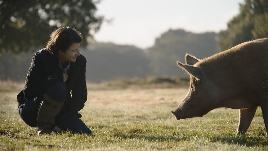 Im Bild: Isabella Tree, gespielt von Rhiannon Neads, trifft in Knepp auf ein Tamworth-Schwein.