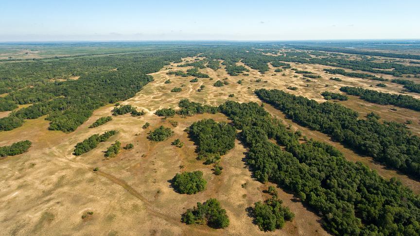 © Foto: ORF/WDR/Tesche Dokumentarfilm Im Bild: Grindul Letea aus der Luft.