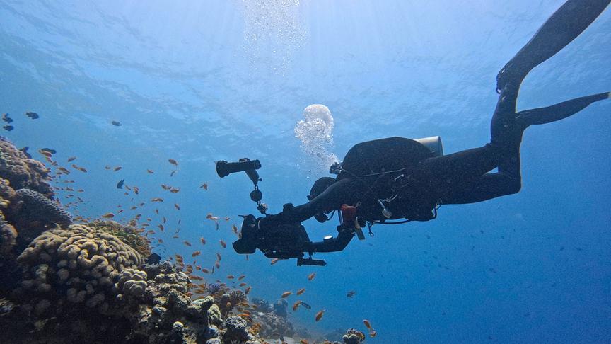 Im Bild: Kamermann Sven Bender, Jordanien, beim Tauchen und Filmen nahe eines Korallenriffs.