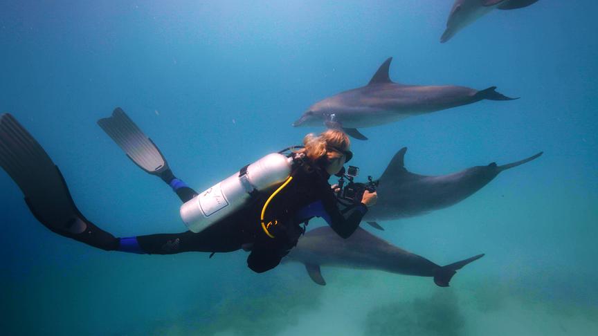 Im Bild: Angela Ziltener von der Dolphin Watch Alliance beim tauchen mit Delfinen.