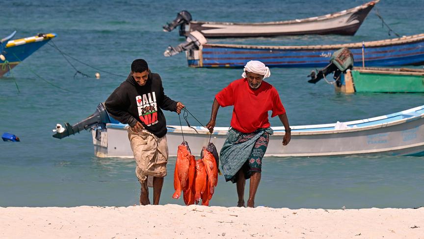 Im Bild: Qalansiyah-Strand im Jemen: Fischer mit ihrer Beute.