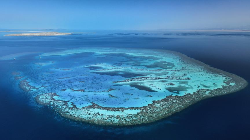 Im Bild: Rotes Meer, Ägypten.