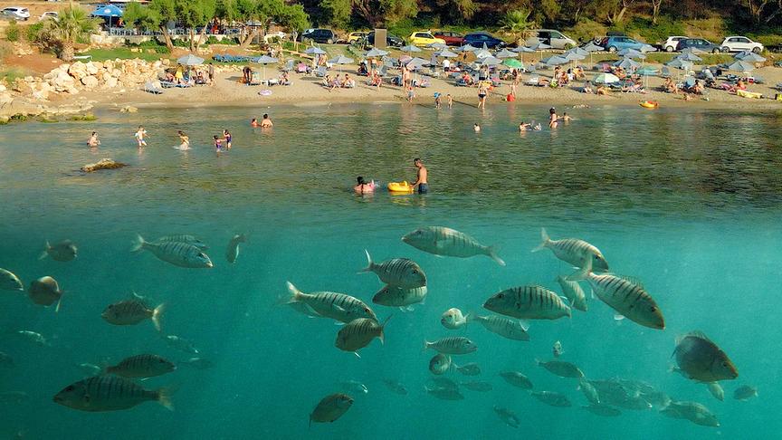 Oben im Bild: Strand mit vielen Menschen; unten im Bild: Fische unter Wasser
