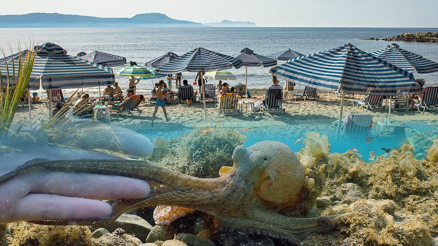 Oben im Bild: Strand mit Meer, Liegen, Sonnenschirmen und Menschen; unten im Bild: Krake unter Wasser, der einen Tentakel einer menschlichen Hand reicht