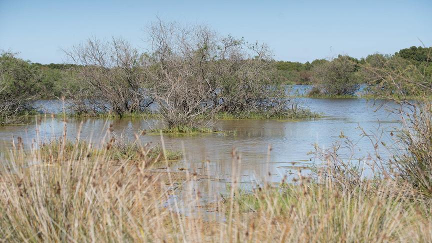 Im Bild: Vjosa Delta, Zvernice Lagune.