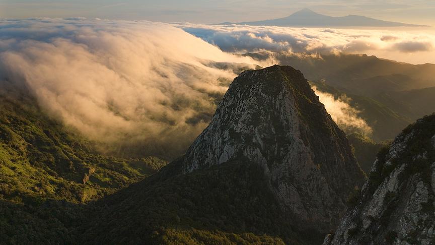 Im Bild: Vor 60 Millionen Jahren waren der gesamte Mittelmeerraum und die Kanaren von üppigen Regenwäldern bedeckt.