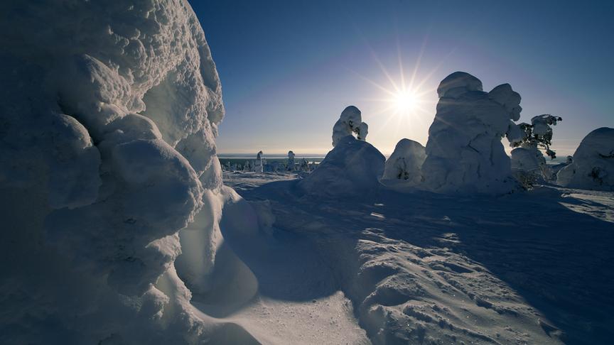 Im Bild: Jedes Jahr verwandeln klirrende Kälte, eisige Winde und hohe Luftfeuchtigkeit die finnischen Wälder in ein Meer aus weißen Statuen.