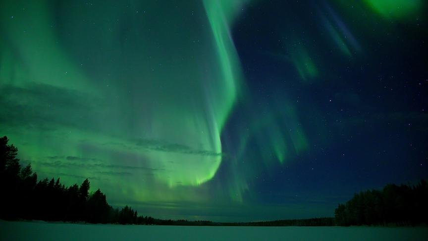Im Bild: Wenn im Mittwinter die Nordlichter am Himmel tanzen, entfaltet sich die geheimnisvolle Magie der nordischen Wälder.