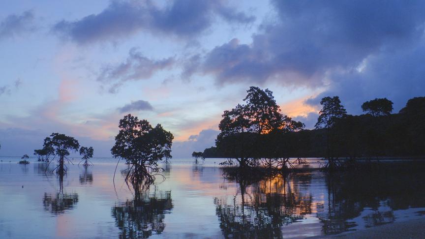 Im Bild: Die Natur präsentiert sich auf Iriomote in vielen Farben.