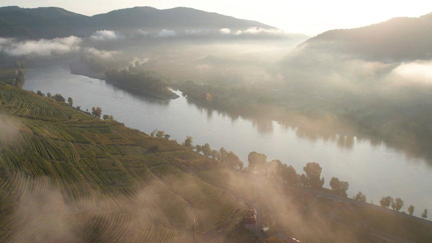Im Bild: Nebliger Morgen – Wachau.