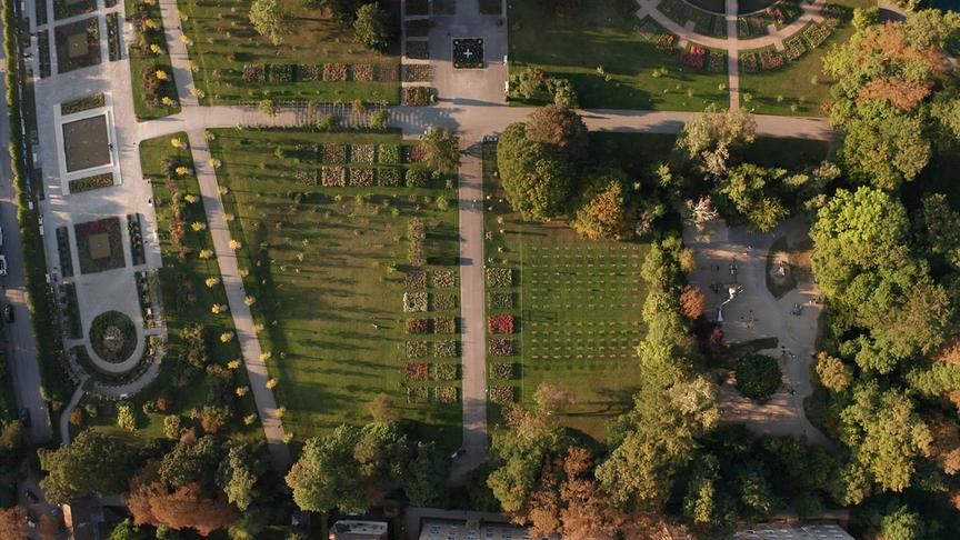 Im Bild: Rosarium Baden, Lotrecht.