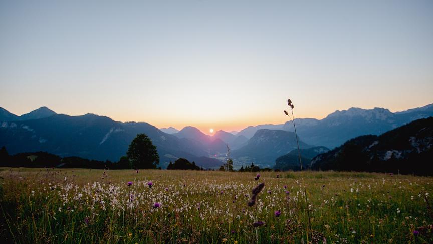 Im Bild: Unkenberger Mähder.