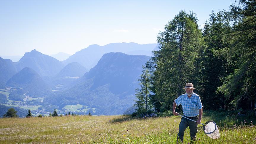 Im Bild: Johann Neumayer (Hummelforscher).