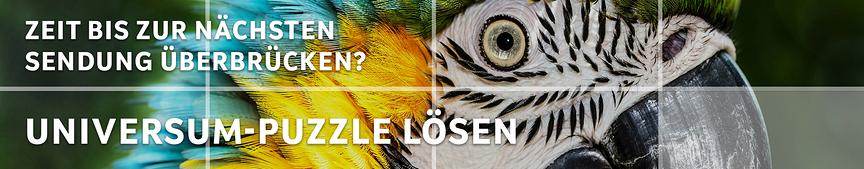 Banner mit Link zum Slider-Puzzle zur aktuellen Universum-Sendung