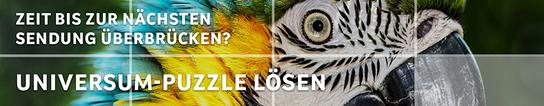 Banner mit Link zum Slider-Puzzle zur aktuellen Universum-Sendung