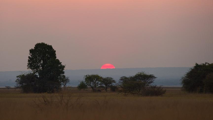 Im Bild: Nsumbu Nationalpark, Trockensavanne.