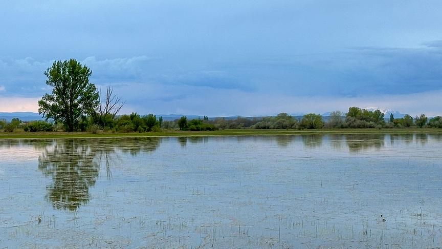 Im Bild: Abendstimmung in den Lacken des Nationalparks Neusiedlersee-Seewinkel.