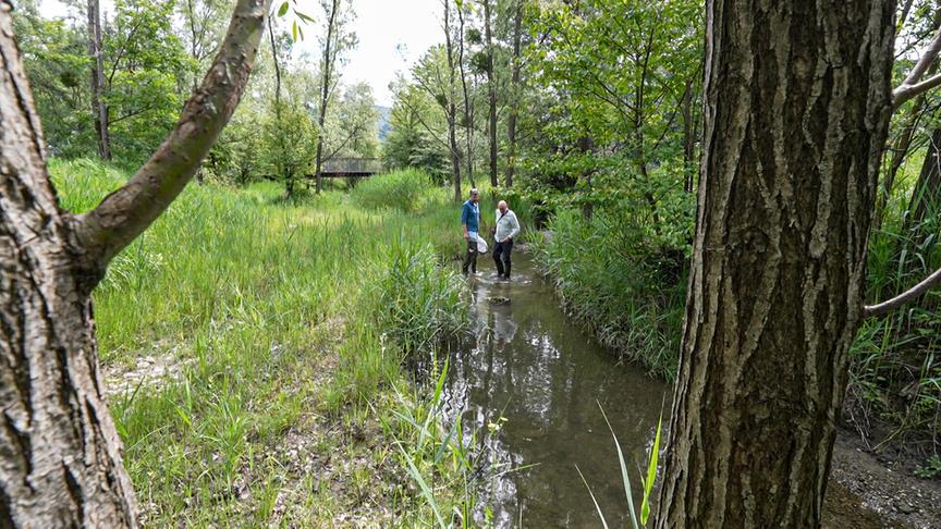 Im Bild: Der renaturierte Klausbach in Vorarlberg.