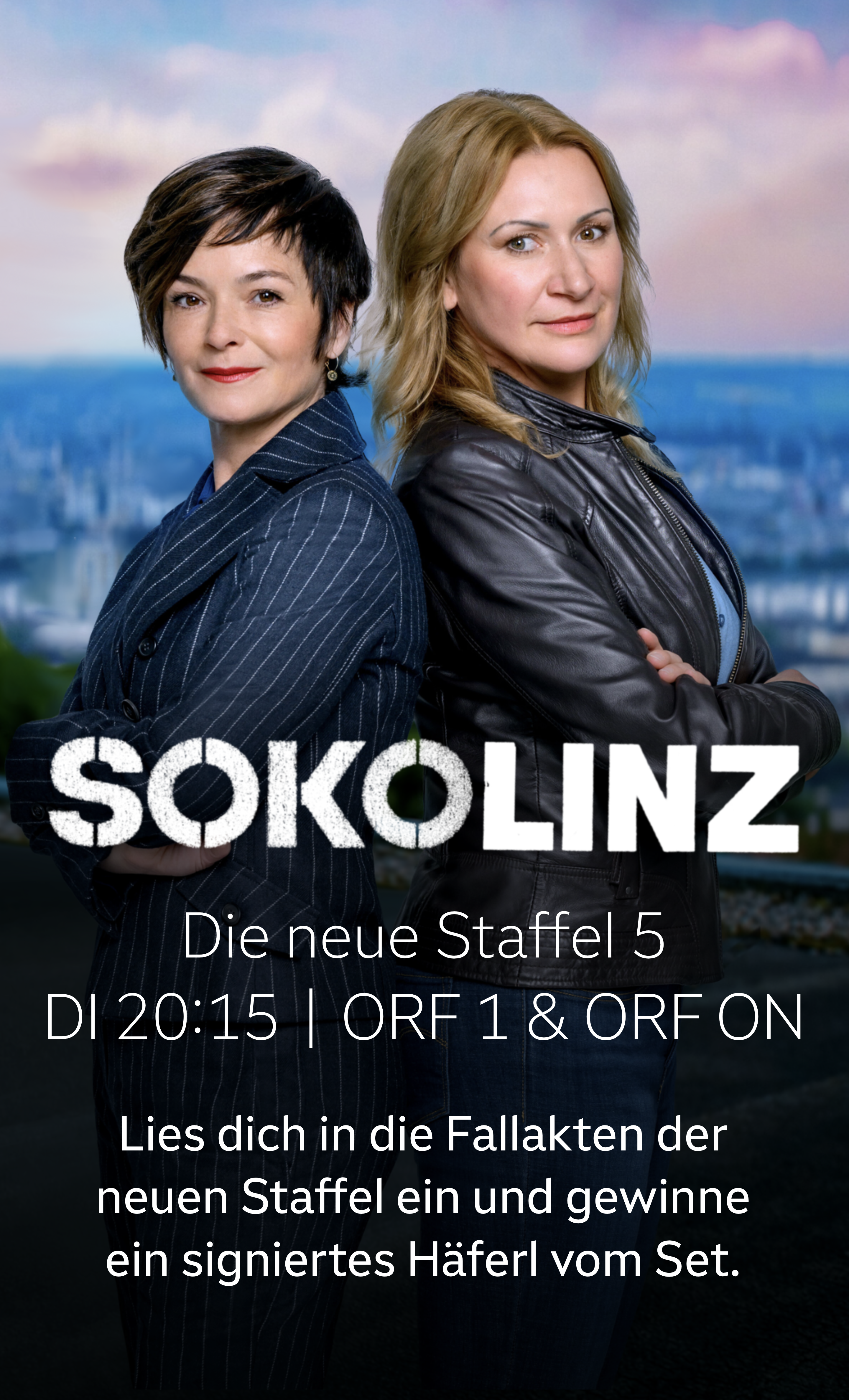 Zur Aktion 'Soko Linz'